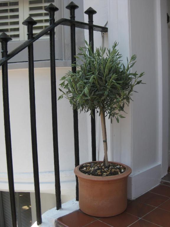 Aquarium Guest House Brighton Exterior foto